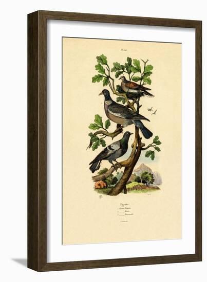 Pigeons, 1833-39-null-Framed Giclee Print