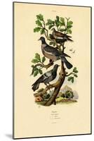 Pigeons, 1833-39-null-Mounted Giclee Print