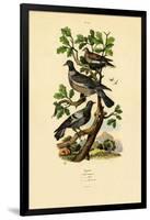 Pigeons, 1833-39-null-Framed Giclee Print