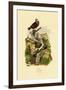 Pigeons, 1833-39-null-Framed Giclee Print