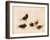 Pigeons, 1888-Jose Ruiz Blasco-Framed Giclee Print