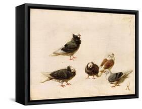 Pigeons, 1888-Jose Ruiz Blasco-Framed Stretched Canvas