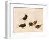 Pigeons, 1888-Jose Ruiz Blasco-Framed Premium Giclee Print