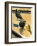Pigeons, 2003-Daniel Clarke-Framed Giclee Print
