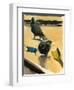 Pigeons, 2003-Daniel Clarke-Framed Giclee Print