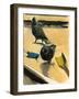 Pigeons, 2003-Daniel Clarke-Framed Giclee Print