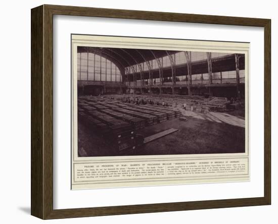 Pigeons as Prisoners of War-null-Framed Photographic Print