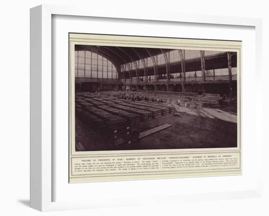 Pigeons as Prisoners of War-null-Framed Photographic Print