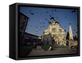Pigeons in Flight in the Piazza Santa Maria Novella, Florence, Tuscany, Italy-Robert Francis-Framed Stretched Canvas