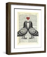 Pigeons in Love-Marion Mcconaghie-Framed Art Print