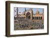 Pigeons in Mosque, Jama Masjid Mosque, Delhi, India-Peter Adams-Framed Photographic Print