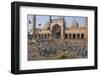 Pigeons in Mosque, Jama Masjid Mosque, Delhi, India-Peter Adams-Framed Photographic Print