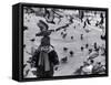 Pigeons in Piazza San Marco, Venice, Veneto, Italy-Walter Bibikow-Framed Stretched Canvas