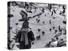 Pigeons in Piazza San Marco, Venice, Veneto, Italy-Walter Bibikow-Stretched Canvas