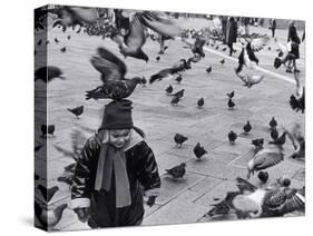 Pigeons in Piazza San Marco, Venice, Veneto, Italy-Walter Bibikow-Stretched Canvas