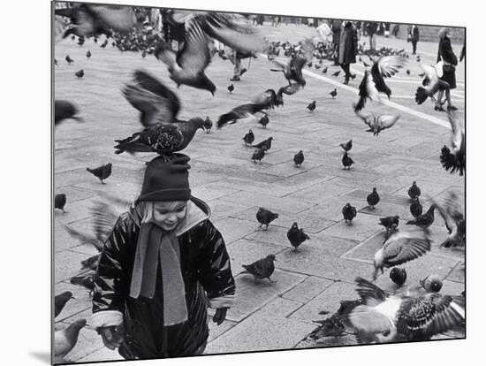 Pigeons in Piazza San Marco, Venice, Veneto, Italy-Walter Bibikow-Mounted Photographic Print