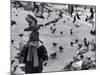 Pigeons in Piazza San Marco, Venice, Veneto, Italy-Walter Bibikow-Mounted Photographic Print