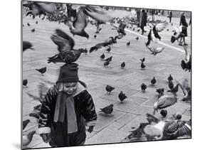 Pigeons in Piazza San Marco, Venice, Veneto, Italy-Walter Bibikow-Mounted Photographic Print