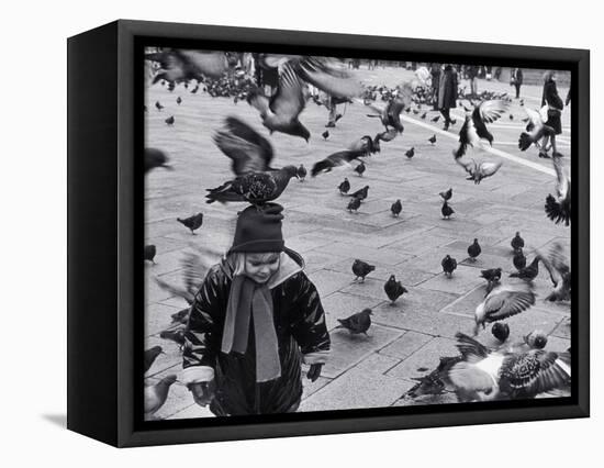 Pigeons in Piazza San Marco, Venice, Veneto, Italy-Walter Bibikow-Framed Stretched Canvas