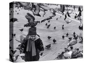 Pigeons in Piazza San Marco, Venice, Veneto, Italy-Walter Bibikow-Stretched Canvas