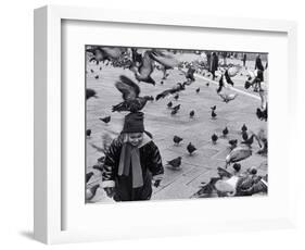 Pigeons in Piazza San Marco, Venice, Veneto, Italy-Walter Bibikow-Framed Photographic Print