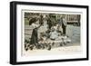 Pigeons in St. Mark's Square, Venice, Italy-null-Framed Art Print