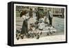 Pigeons in St. Mark's Square, Venice, Italy-null-Framed Stretched Canvas