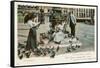 Pigeons in St. Mark's Square, Venice, Italy-null-Framed Stretched Canvas