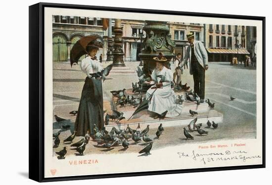 Pigeons in St. Mark's Square, Venice, Italy-null-Framed Stretched Canvas