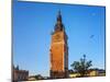 Pigeons in the Morning Krakow-palinchak-Mounted Photographic Print