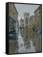 Pigeons in the rain, Abbey Courtyard, 2016-Peter Brown-Framed Stretched Canvas