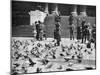 Pigeons in Trafalgar Square, London, 1926-1927-null-Mounted Giclee Print