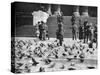 Pigeons in Trafalgar Square, London, 1926-1927-null-Stretched Canvas