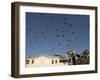 Pigeons in Umayyad Mosque Courtyard, Damascus, Syria, Middle East-Christian Kober-Framed Photographic Print