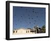 Pigeons in Umayyad Mosque Courtyard, Damascus, Syria, Middle East-Christian Kober-Framed Photographic Print