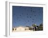 Pigeons in Umayyad Mosque Courtyard, Damascus, Syria, Middle East-Christian Kober-Framed Photographic Print