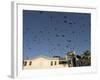 Pigeons in Umayyad Mosque Courtyard, Damascus, Syria, Middle East-Christian Kober-Framed Photographic Print
