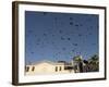 Pigeons in Umayyad Mosque Courtyard, Damascus, Syria, Middle East-Christian Kober-Framed Photographic Print