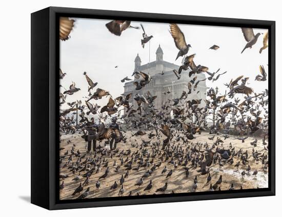 Pigeons, India Gate, Colaba, Mumbai (Bombay), India-Peter Adams-Framed Stretched Canvas