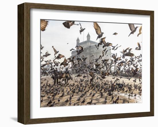 Pigeons, India Gate, Colaba, Mumbai (Bombay), India-Peter Adams-Framed Photographic Print