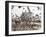 Pigeons, India Gate, Colaba, Mumbai (Bombay), India-Peter Adams-Framed Photographic Print