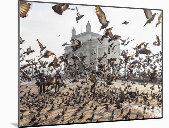 Pigeons, India Gate, Colaba, Mumbai (Bombay), India-Peter Adams-Mounted Photographic Print
