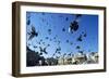 Pigeons Large Flock in Trafalgar Square-null-Framed Photographic Print