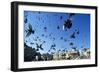 Pigeons Large Flock in Trafalgar Square-null-Framed Photographic Print