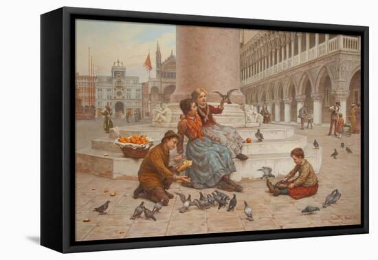 Pigeons of Venice-Antonio Paoletti-Framed Stretched Canvas