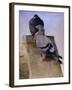 Pigeons on the Roof-Joseph Crawhall-Framed Giclee Print