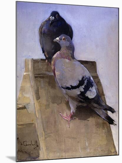 Pigeons on the Roof-Joseph Crawhall-Mounted Giclee Print