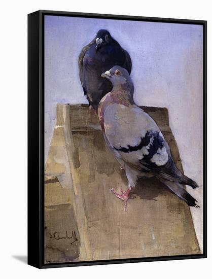 Pigeons on the Roof-Joseph Crawhall-Framed Stretched Canvas