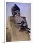 Pigeons on the Roof-Joseph Crawhall-Framed Premium Giclee Print