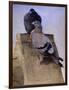 Pigeons on the Roof-Joseph Crawhall-Framed Premium Giclee Print